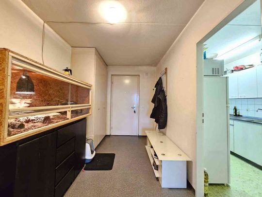 2 Zimmer, 45 m², 1. Stock - Foto 1