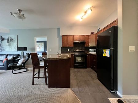 Attention STUDENTS Fully Furnished 2 Bed Condo with Pool and Gym - Photo 3