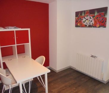 Location Appartement 1 pièce 22m² ECULLY 69130 - Photo 1