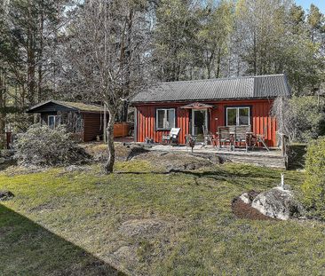 Blåhakeslingan, Ingarö - Foto 4