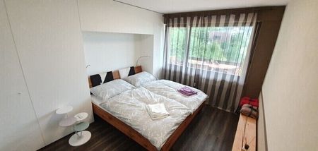 3-ROOM APARTMENT IN HINWIL (ZH), FURNISHED, TEMPORARY - Foto 5