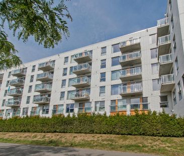 Appartement à Montréal (Mercier/Hochelaga-Maisonneuve) - Photo 3