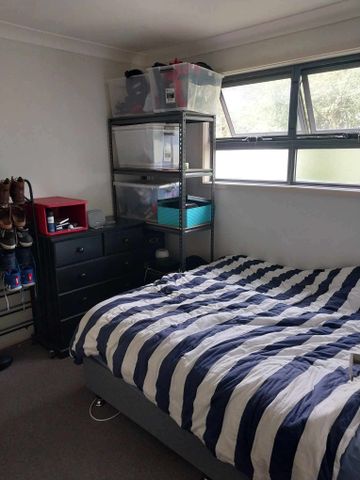 Tighes Hill - Photo 4