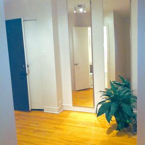 Studio - Montréal - $995 /mo - Photo 2