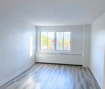 Beautiful Renovated 3.5 – 7355 Acadie - Photo 5