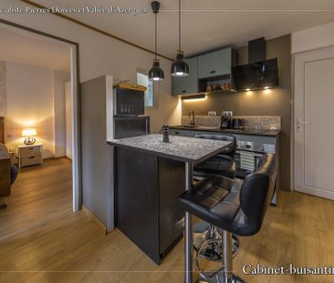 Location Appartement 2 pièces 28m² CHATILLON 69380 - Photo 5