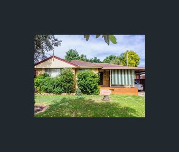 19 Alson Street, Mount Druitt, NSW 2770 - Photo 4