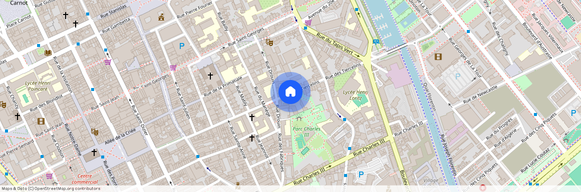 50 RUE DES TIERCELINS, Charles Iii Nord Tiercelins St-Georges, Nancy