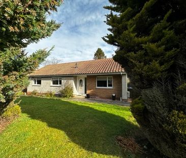 School Cottage, Maynards Road, St Andrews - Photo 4