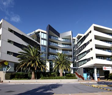 310/222 Bay Road, Sandringham VIC 3191 - Apartment For Rent | Domain - Photo 3