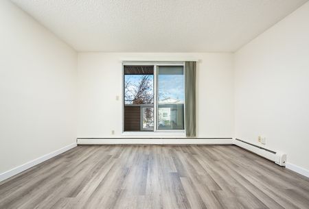 Daly Grove - Photo 2