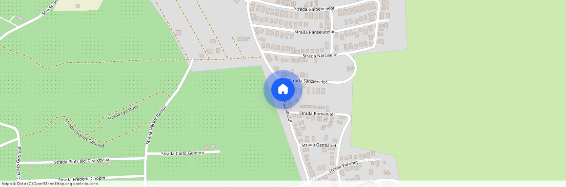 Iris, Cluj-Napoca