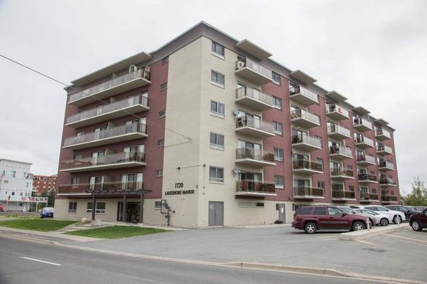 apartments at 1720 Paris Street - Photo 1