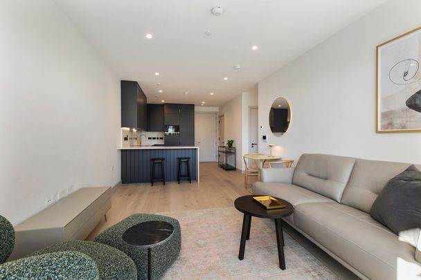 APARTMENT 16, 143 MERRION ROAD, HERBERT AVENUE, DUBLIN 4, D04 P4V6 - Photo 1