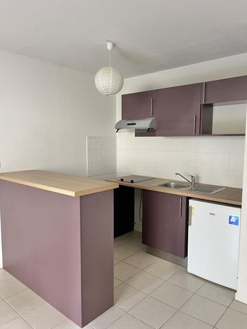 Location Appartement 2 pièces 41m² RAMONVILLE ST AGNE 31520 - Photo 3