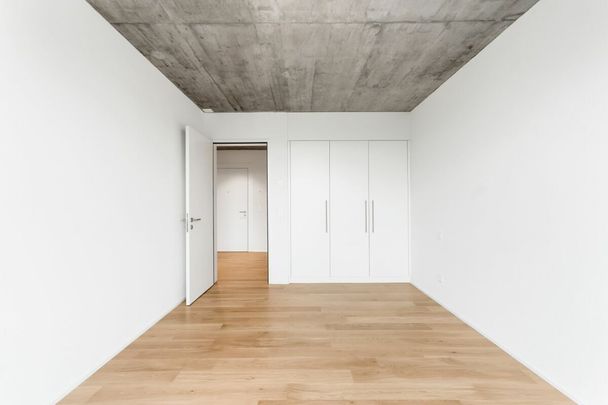 3.5-Zimmer-Attikawohnung - Photo 1