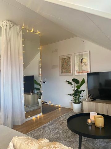 Hertig Knutsgatan, Halmstad - Photo 4