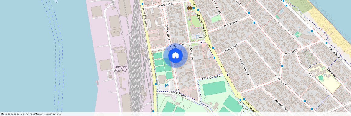 45 Tawa Street, Mt Maunganui