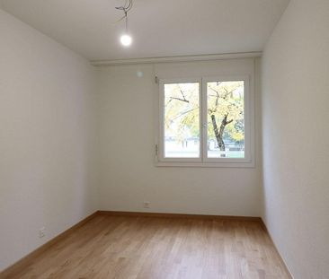 5-Zimmer- Attikawohnung - Foto 3