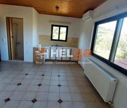 Studio/Γκαρσονιέρα για ενοικίαση - Ρίο, - Photo 2