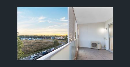 Centrally Located 3 Bedroom Apartment - Photo 5