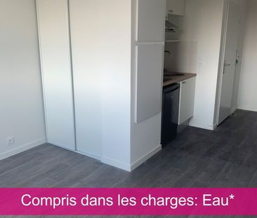 Location Appartement 1 pièce 19m² AUZEVILLE TOLOSANE 31320 - Photo 3