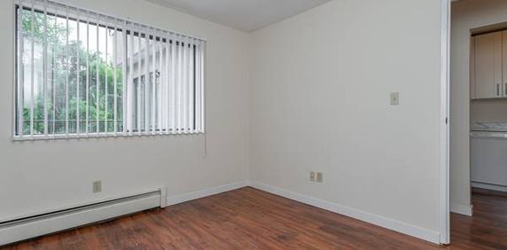 Beautiful studio available! -$1800 - Photo 2