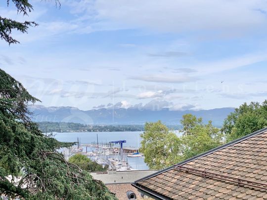 SUPERBE APPARTEMENT EN ATTIQUE AVEC VUE LAC - Ascenseur privé - Foto 1