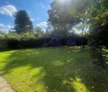 108 Holt Drive - Stunning Detached Home & next to James FranceLough... - Photo 5