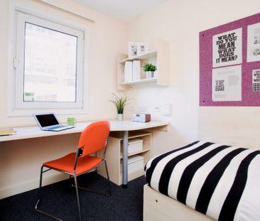 Premium Range 1 Studio - Photo 3