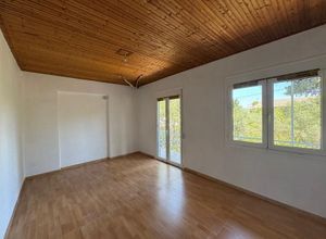 Μονοκατοικία για ενοικίαση - Ωρωπός - Photo 1