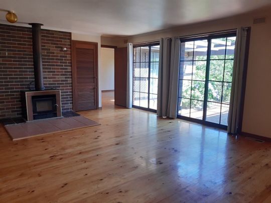 Leave The Car At Home! - Photo 1