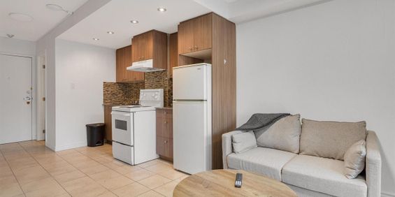 1 Bedroom Furnished - 1180 Rue Du Fort, Ville-Marie - Photo 3