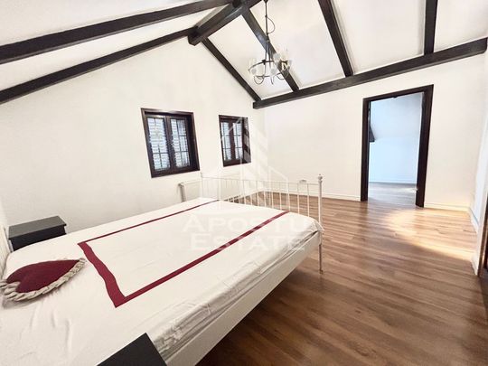 Casa cu 5 camere de inchiriat, curte proprie, Sanmihaiu Roman, Timis - Fotografie 1