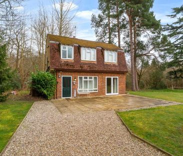 1 bedroom detached house to rent - Photo 4