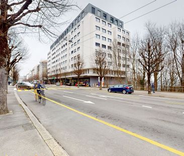 Charmant appartement de 2 pièce au cur de Fribourg - Photo 3