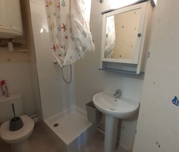 Location Appartement 1 pièce 14m² - Photo 3