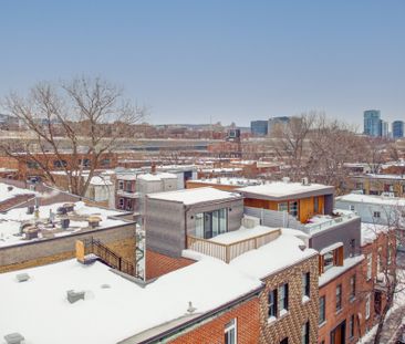 Condo for rent, Montréal (Le Sud-Ouest) - Photo 6