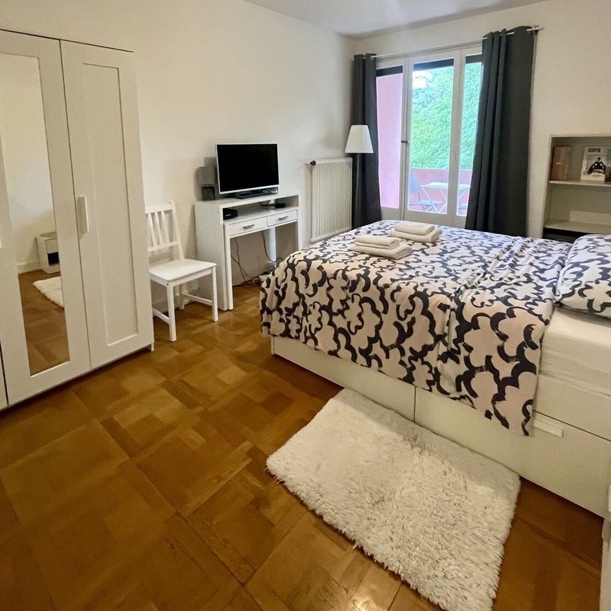 APPARTEMENT 2 PIÈCES À GENÈVE - PLAINPALAIS/ACACIAS, MEUBLÉ, DURÉE DÉTERMINÉE - Foto 1