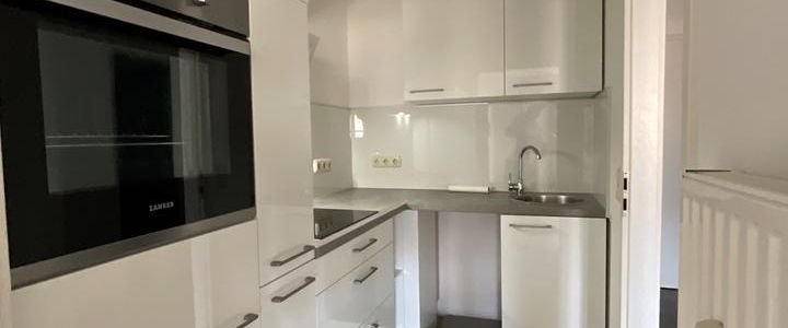 Gemütliche Einraumwohnung mit Küche in Auerbach - Foto 1