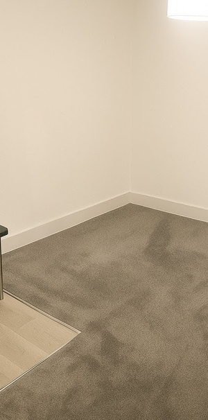 Raveley Street - Photo 2