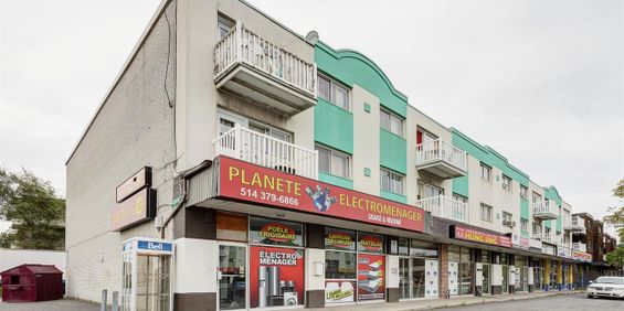 1 Bedroom - 6293 Sherbrooke Est,, Montréal - Photo 3
