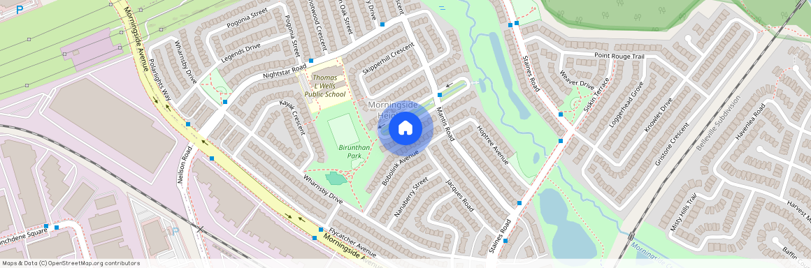 17 Dragonfly Crescent, Toronto