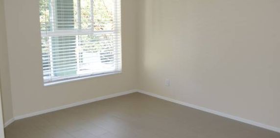 all new appliances new floor one bedroom apartment Maple Ridge - Photo 2