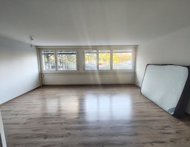 Completely renovated studio - Photo 1