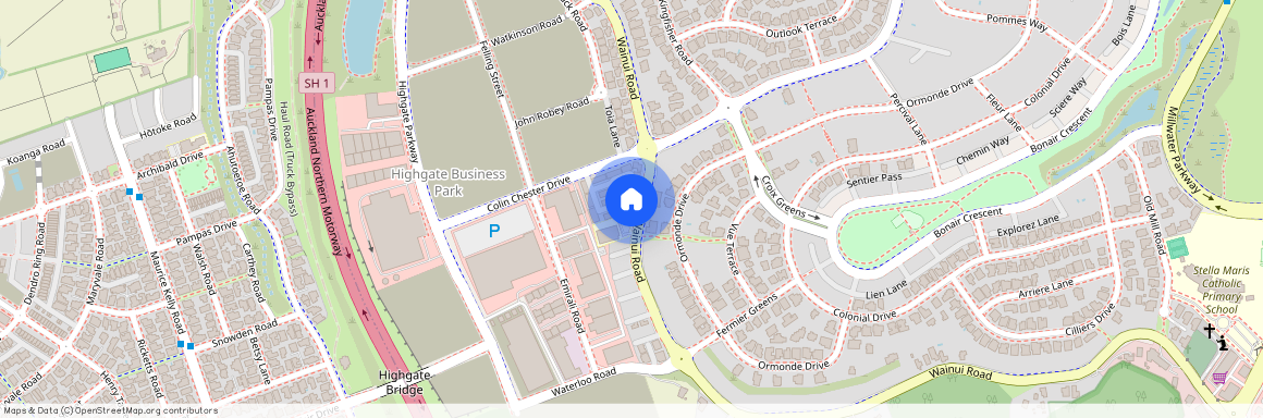 54 Hinonga Loop, Millwater, Rodney