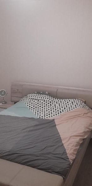 Location Appartement 3 pièces 55m² ST LAURENT SUR SAONE 01750 - Photo 1