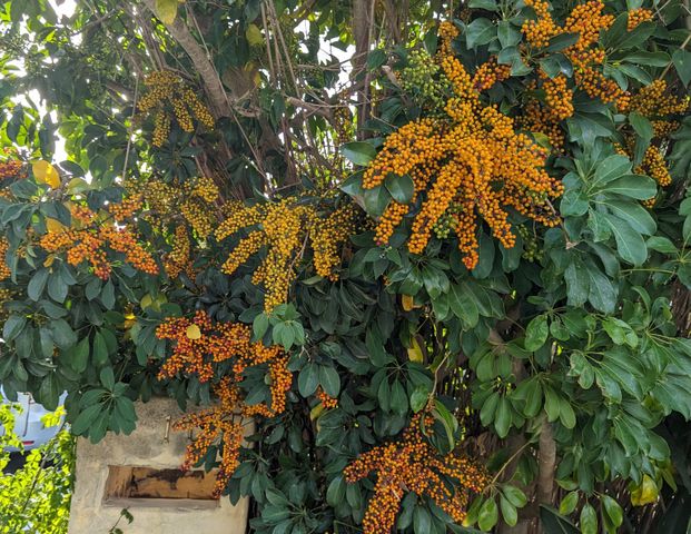 Churchlands - Photo 1