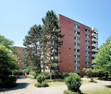 3 ½ Zimmer-Wohnung in Basel mieten - Photo 6