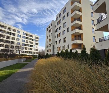 Mieszkanie - Gocław, 2 pokoje, wynajem - Zdjęcie 6